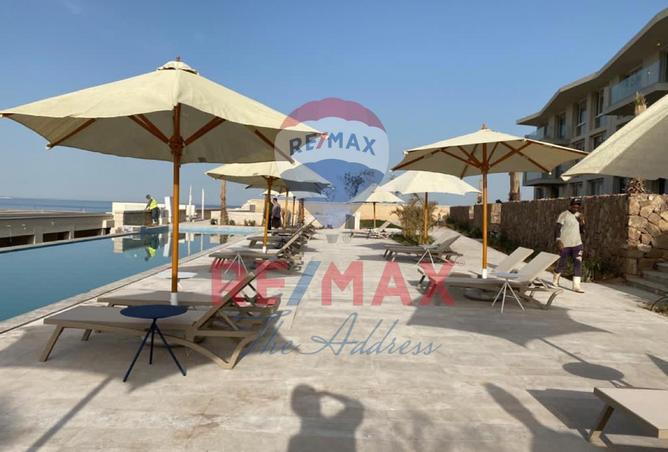 8346334 - صورة العقار 3