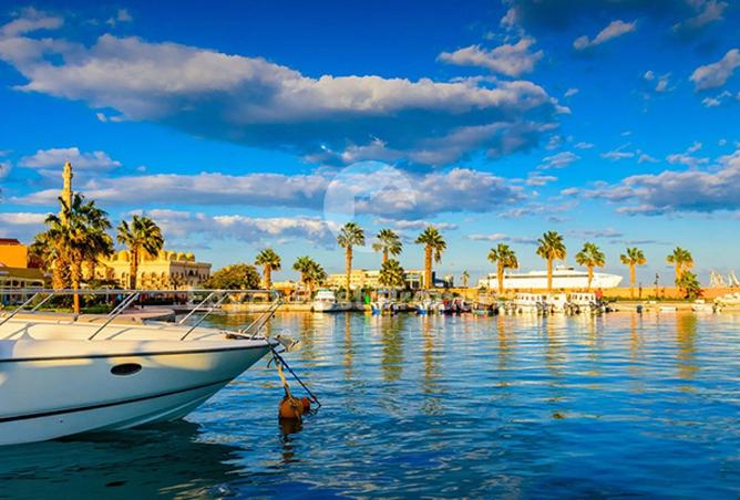 8349813 - Property Image 3