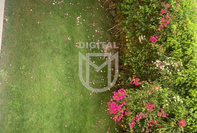 8364332 - صورة العقار 3