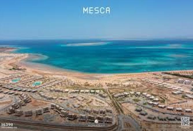 8347350 - Property Image 2