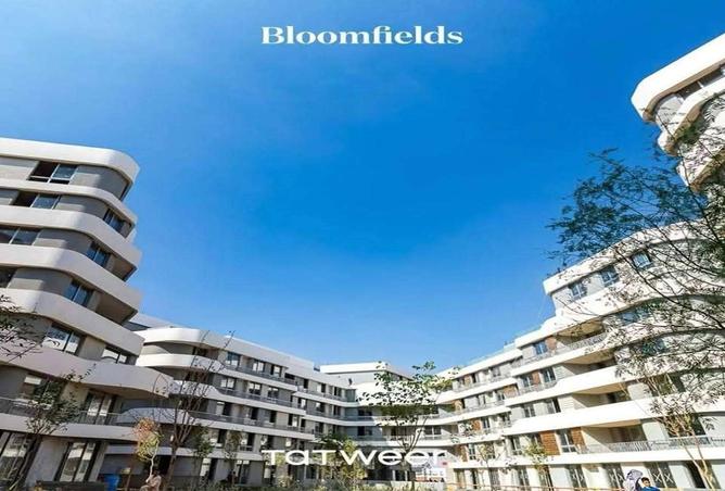 8347197 - الصورة الرئيسية للعقار