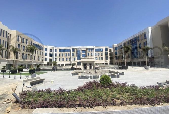 8347974 - Property Image 3