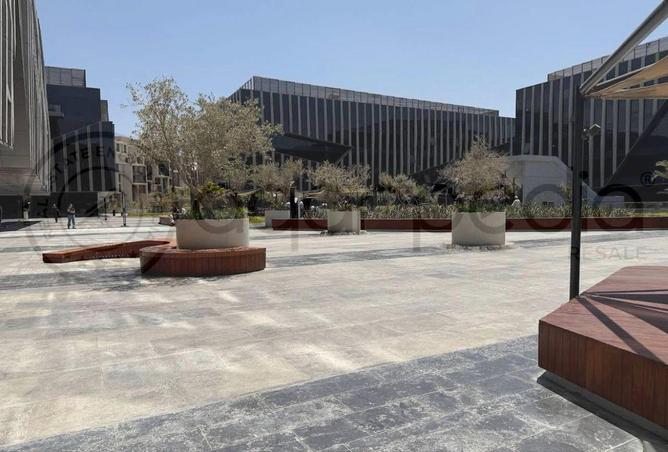 8348339 - Property Image 2