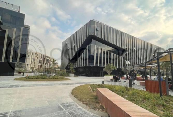 8348339 - Property Image 3