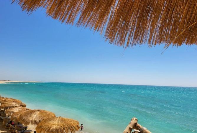 8348163 - Property Image 2