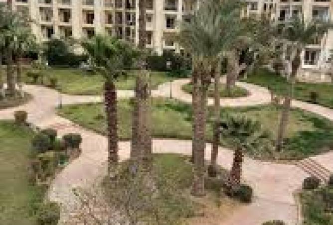 8348333 - Property Image 3