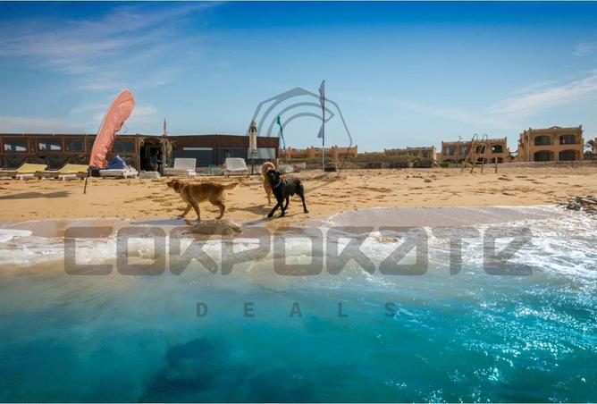 8348429 - Property Image 2