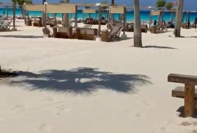 8350558 - Property Image 3