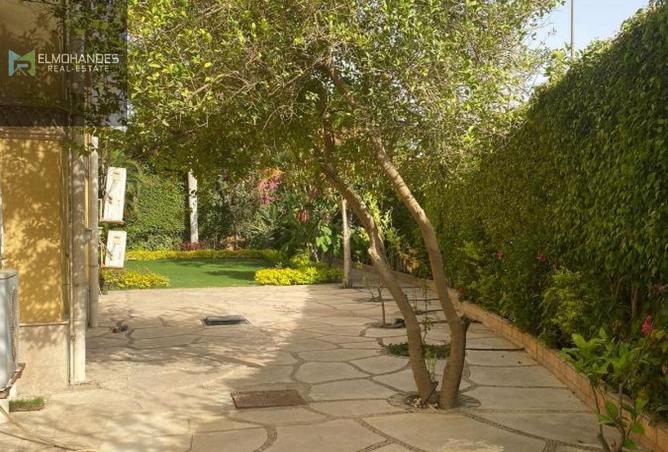 8349782 - صورة العقار 3