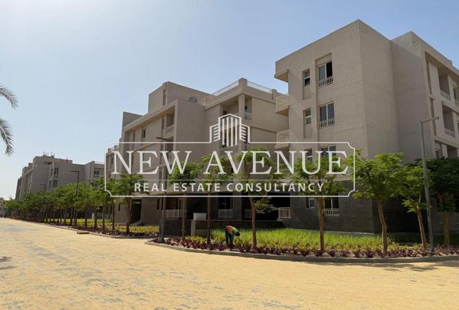 8351539 - صورة العقار 3