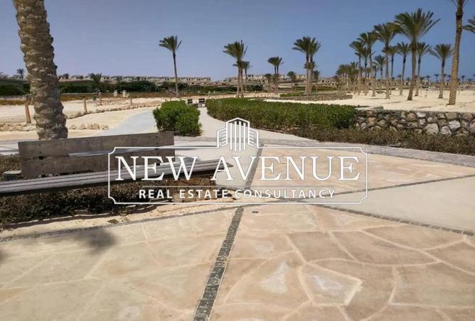 8351531 - Property Image 3