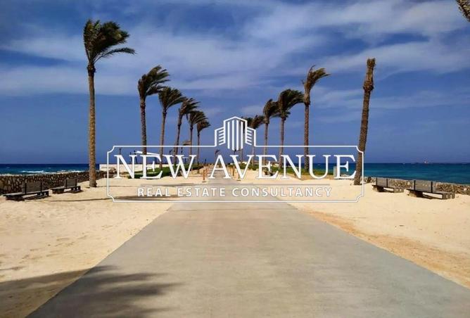 8351531 - Property Image 2