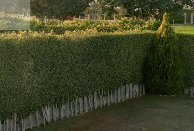 8350627 - Property Image 3