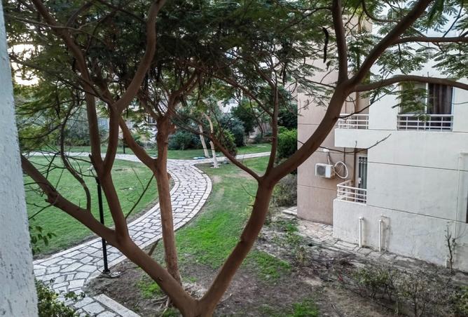 8351236 - صورة العقار 2