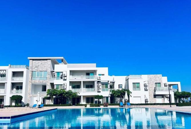 8351377 - Property Image 3