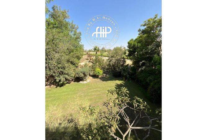 8562969 - صورة العقار 3