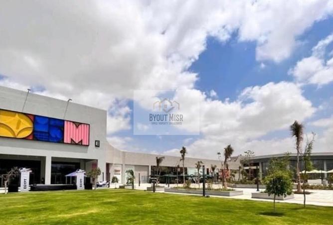 8352339 - Property Image 3