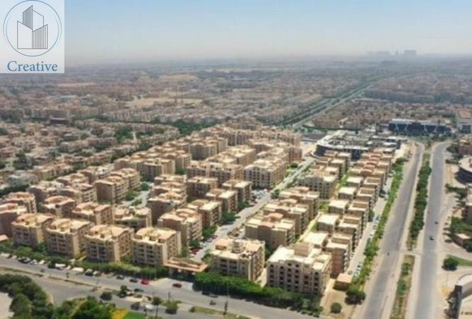 8353355 - Property Image 3