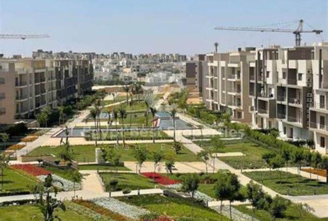 8355369 - Property Image 2