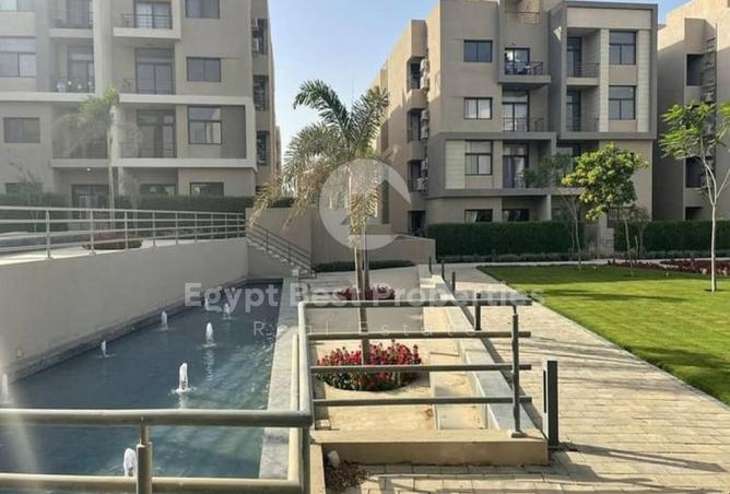 8355369 - Property Image 3