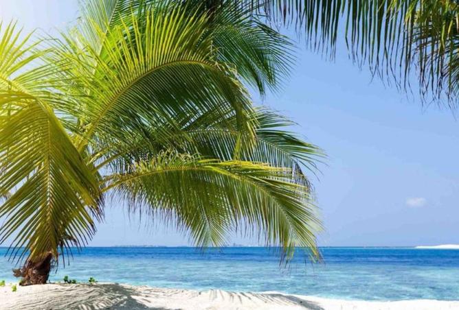 8354047 - الصورة الرئيسية للعقار