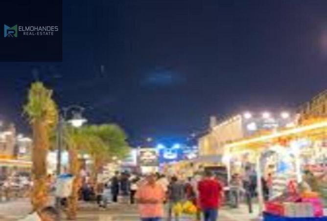 8354464 - Property Image 3