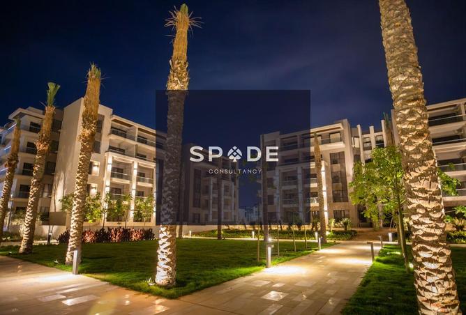 8355158 - Property Image 3