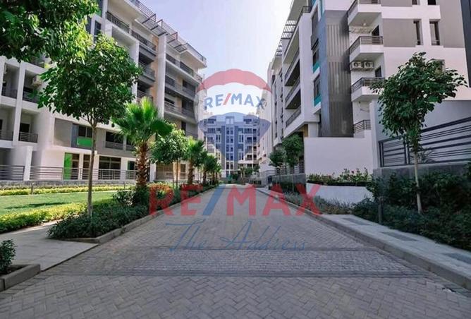 8354408 - Property Image 3