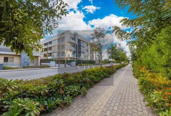 8354542 - Property Image 3