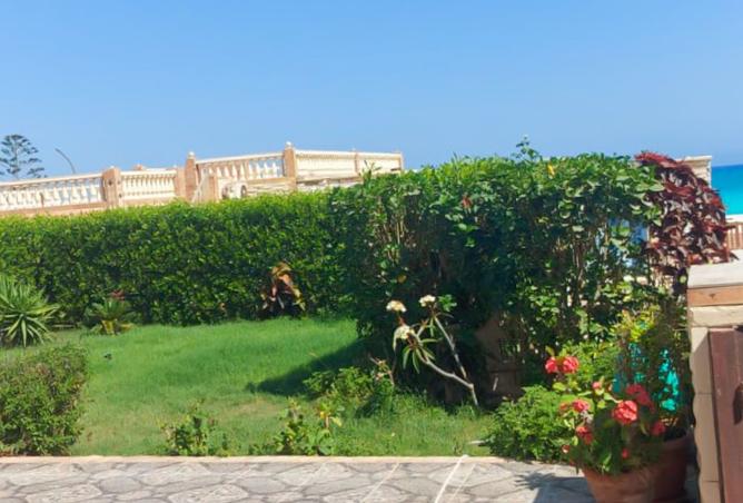 8354841 - Property Image 2