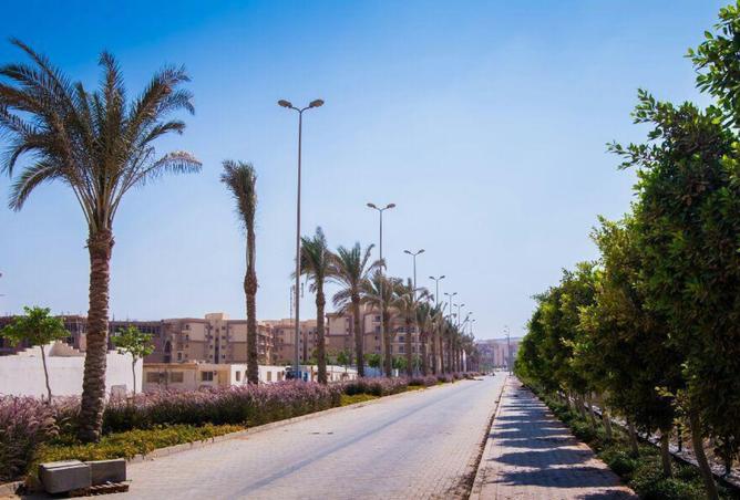 8355034 - الصورة الرئيسية للعقار