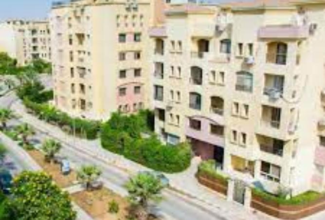 8355113 - الصورة الرئيسية للعقار