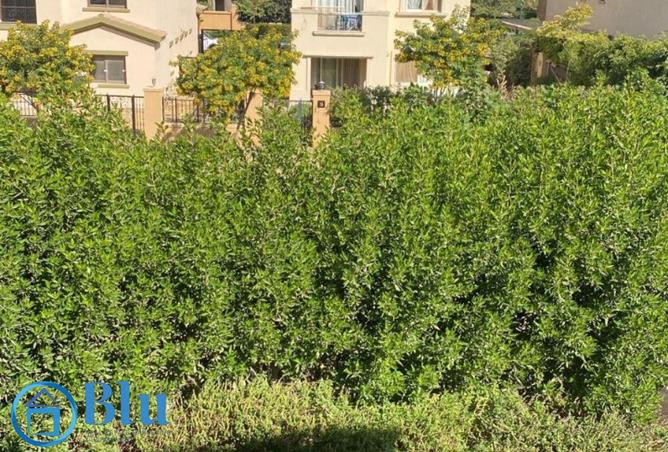 8356482 - صورة العقار 2