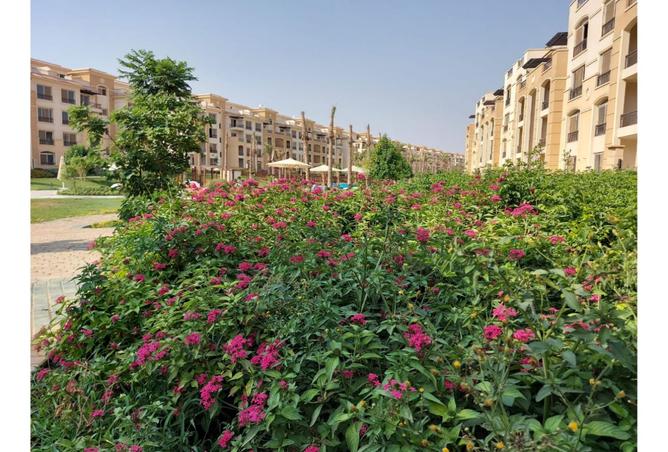 8355472 - صورة العقار 3