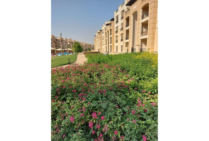 8355522 - Property Image 2