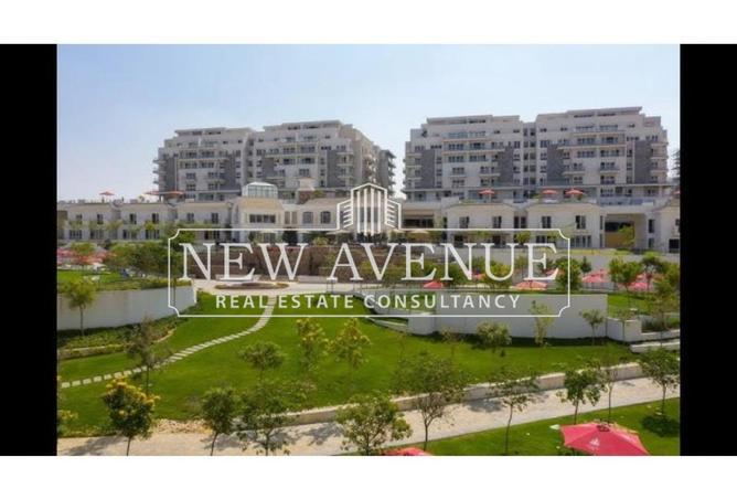 8356978 - Property Image 3