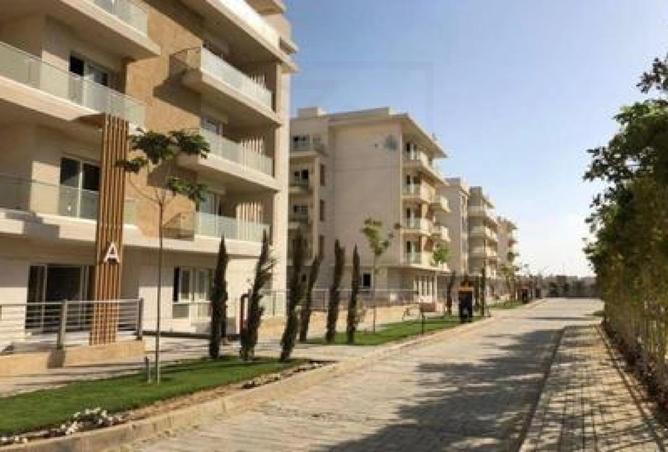 8356607 - Property Image 3