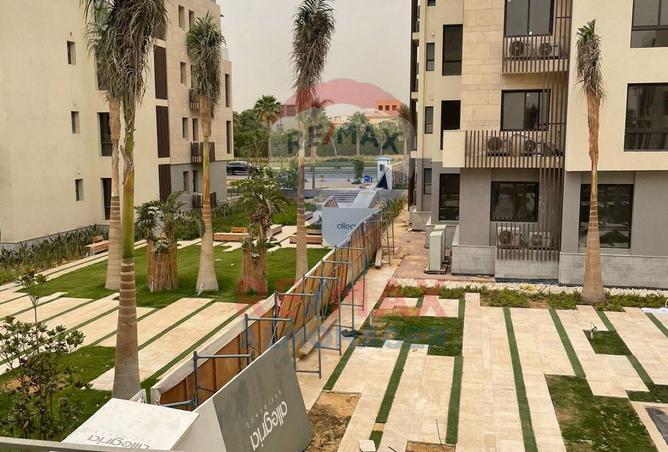 8356558 - Property Image 2