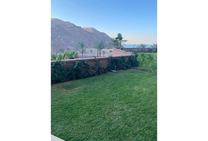 8356918 - صورة العقار 3