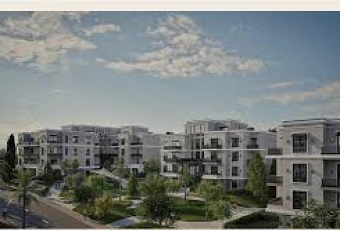 8356790 - Property Image 3