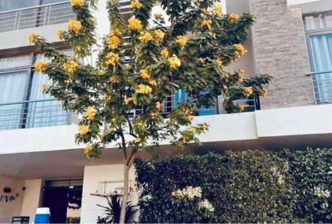 8362371 - صورة العقار 3