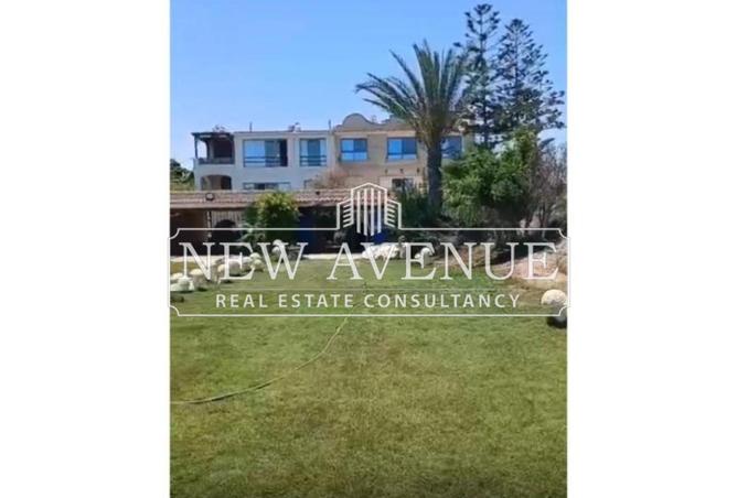 8362749 - صورة العقار 3