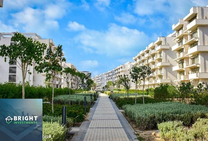 8357977 - صورة العقار 2