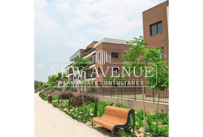 8358205 - Property Image 3