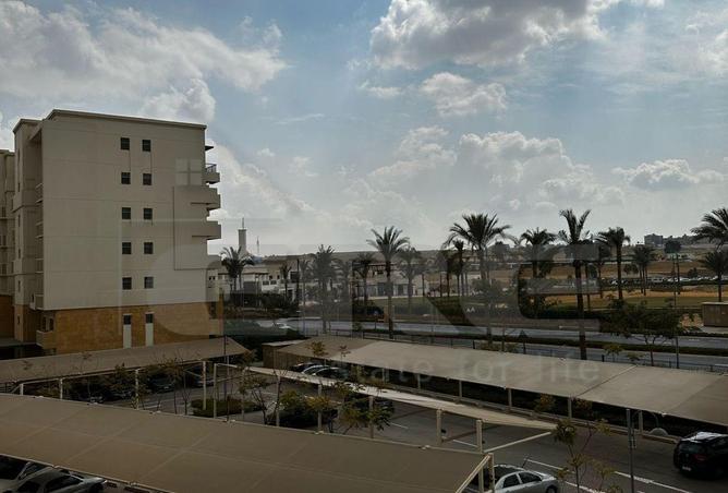 8359088 - Property Image 3