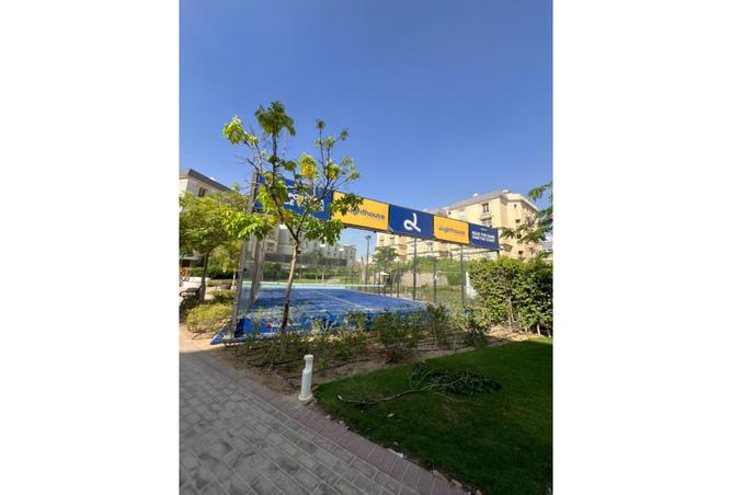 8358680 - Property Image 3