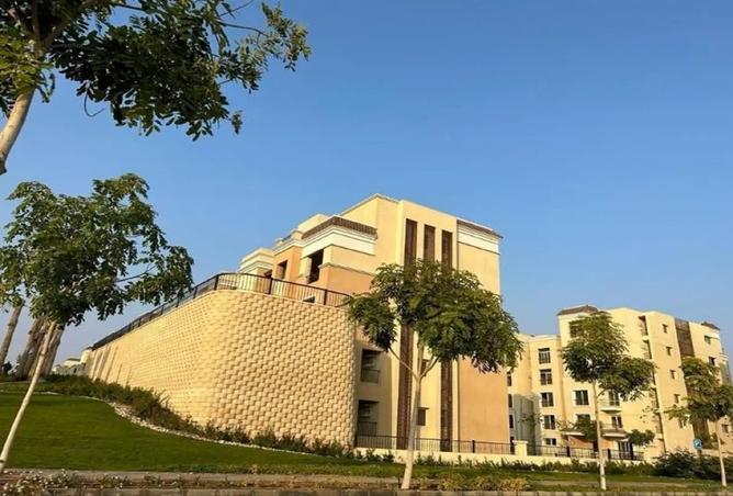 8393494 - صورة العقار 2