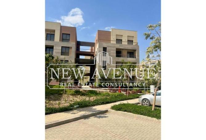 8359234 - Property Image 3