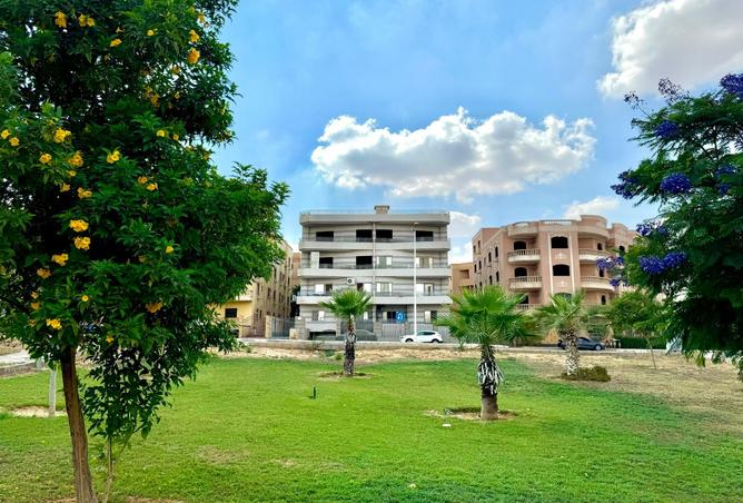 8359335 - Property Image 3