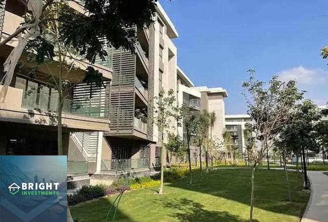 8359345 - Property Image 3